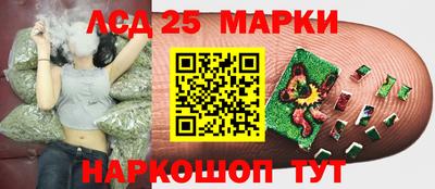 ПСИЛОЦИБИНОВЫЕ ГРИБЫ Можайск