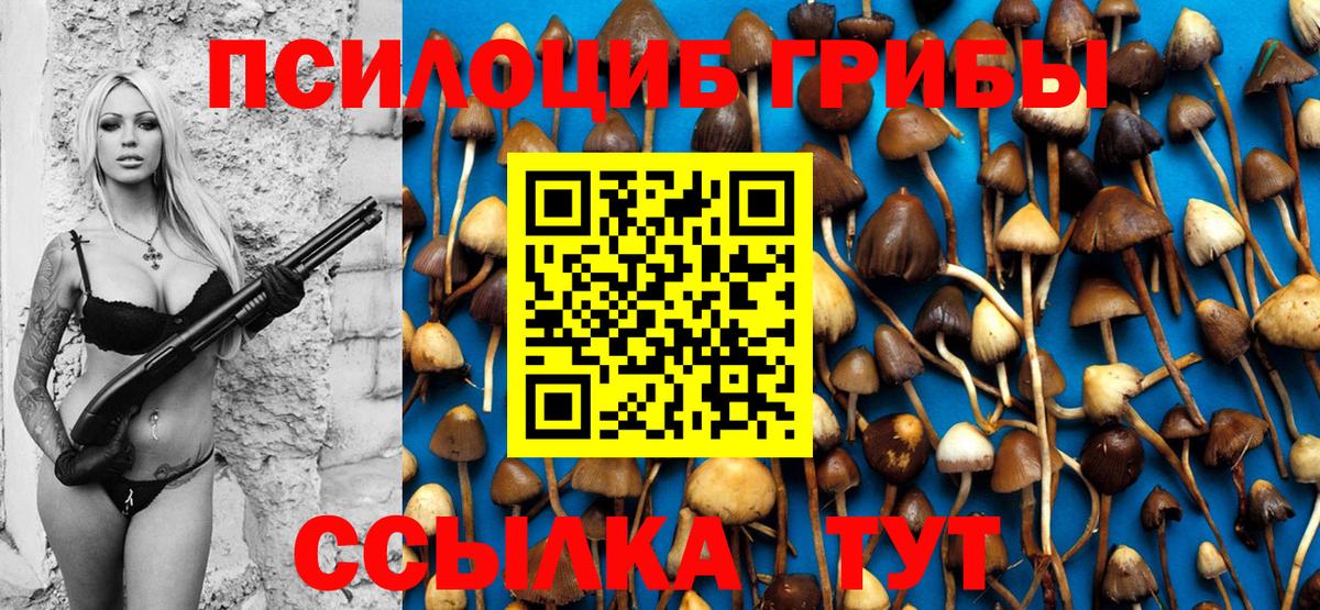 Псилоцибиновые грибы Magic Shrooms  Вход с VPN  Черняховск 